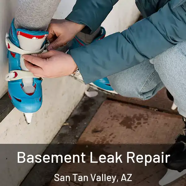  Basement Leak Repair San Tan Valley, AZ