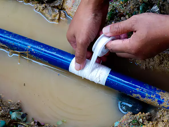  Why Choose San Tan Valley Plumbing Pro for Leak Detection in San Tan Valley, AZ?]