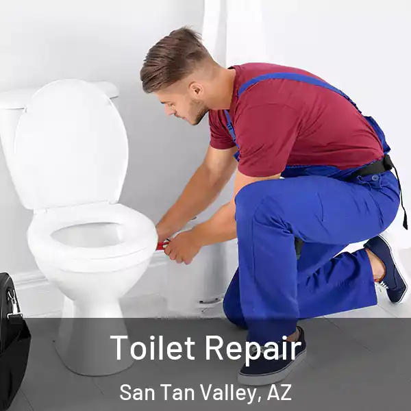  Toilet Repair San Tan Valley, AZ