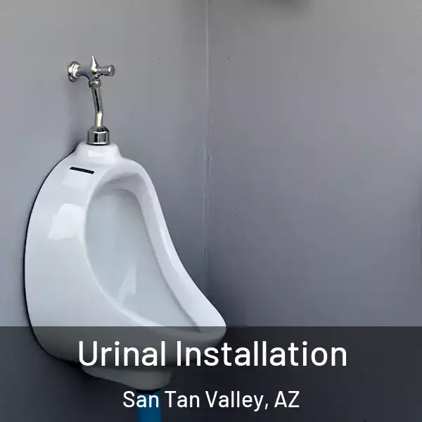  Urinal Installation San Tan Valley, AZ