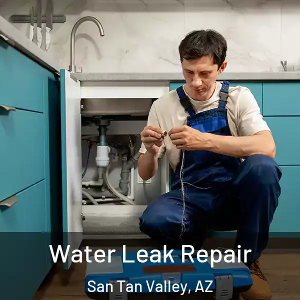  Water Leak Repair San Tan Valley, AZ